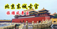 白丝美女搞黄中国北京-东城古宫旅游风景区